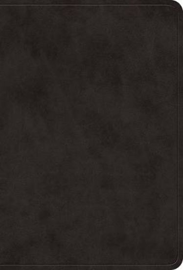 Picture of ESV Value Large Print Compact Bible (Trutone, Black)