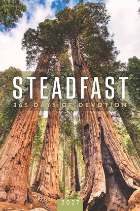 Picture of Steadfast 2027