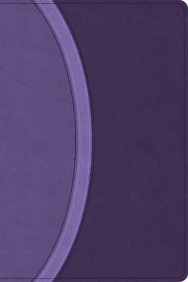 Picture of CSB Rainbow Study Bible, Purple Leathertouch (Limited Edition)