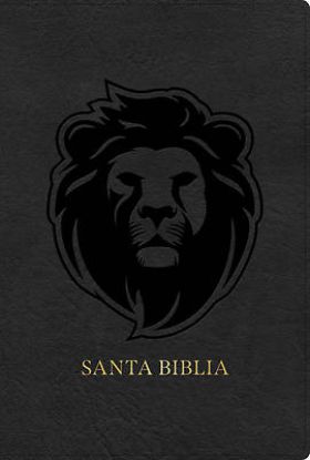 Picture of Rvr 1960 Biblia Letra Grande Tamaño Manual Edición Especial, Ceniza, Símil Piel