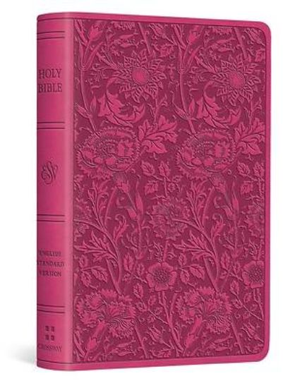 Picture of ESV Vest Pocket New Testament with Psalms and Proverbs (Trutone, Berry, Floral Design)
