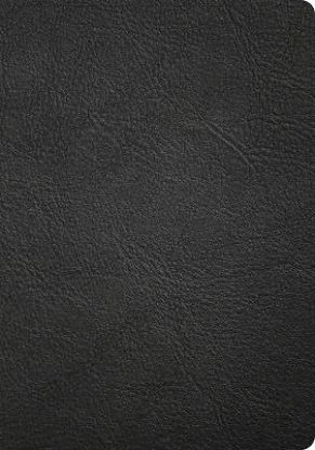 Picture of CSB Baker Illustrated Study Bible, Black Genuine Leather