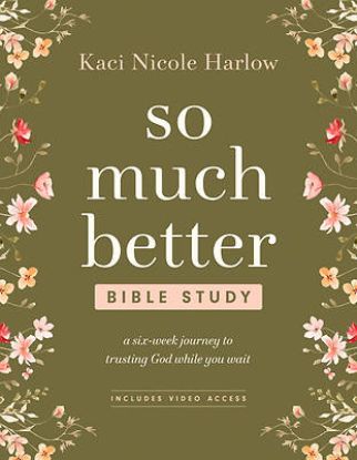 Picture of So Much Better Bible Study with Streaming Video Access