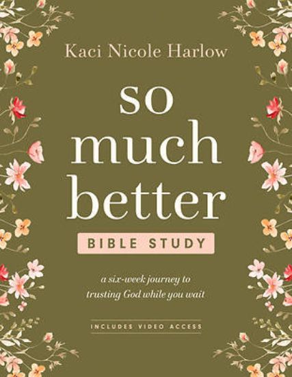Picture of So Much Better Bible Study with Streaming Video Access