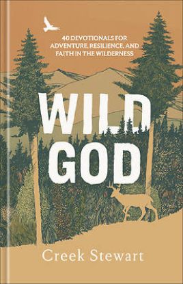 Picture of Wild God