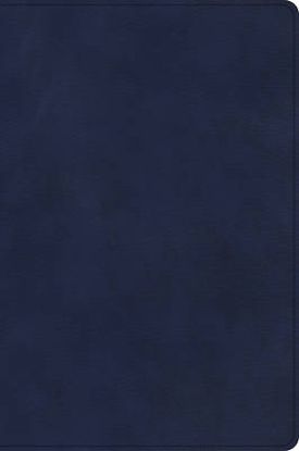 Picture of CSB Rainbow Study Bible, Navy Leathertouch, Indexed