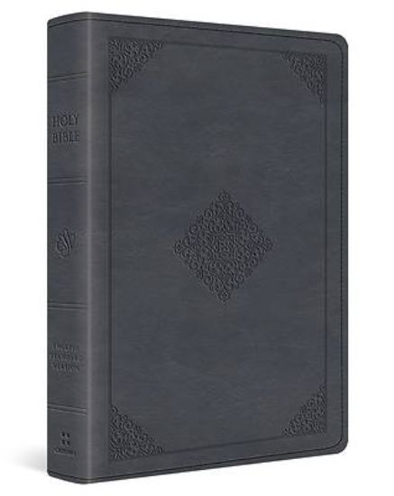 Picture of ESV Large Print Wide Margin Bible (Trutone, Slate Blue, Ornament Design)