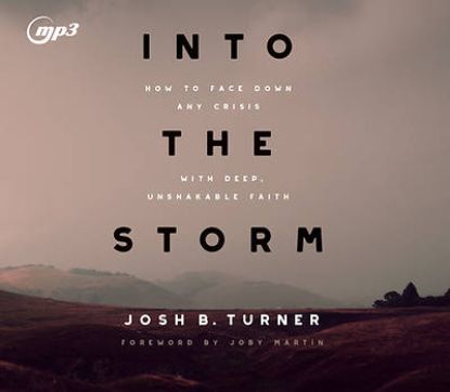 Picture of Into the Storm