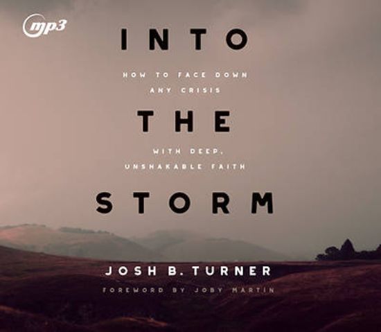 Picture of Into the Storm