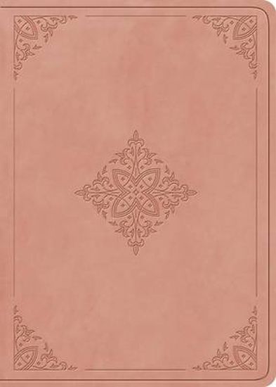 Picture of ESV Large Print Value Personal Size Bible, Red Letter (Trutone, River Stone, Branch Design)