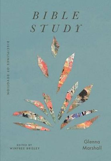 Picture of Bible Study