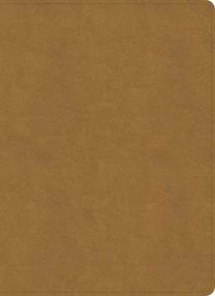 Picture of NASB Study Bible, Camel Suedesoft Leathertouch
