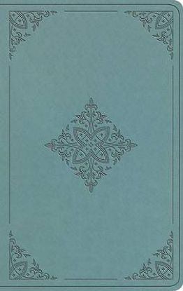Picture of ESV Value Thinline Bible (Trutone, Paris Sky, Fleur-De-Lis Design)