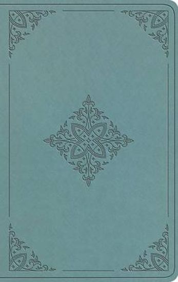 Picture of ESV Value Thinline Bible (Trutone, Paris Sky, Fleur-De-Lis Design)