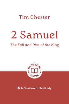 Picture of 2 Samuel