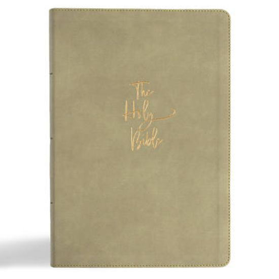 Picture of KJV Super Giant Print Reference Bible, Sage Suedesoft Leathertouch