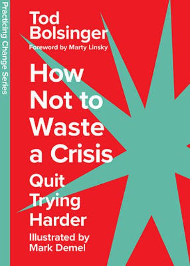 Picture of How Not to Waste a Crisis