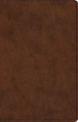 Picture of ESV Premium Gift Bible (Trutone, Brown)