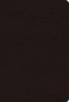 Picture of ESV Giant Print Thinline Bible (Trutone, Deep Brown)