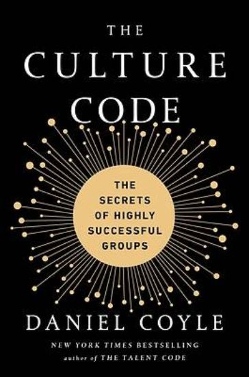 Picture of The Culture Code