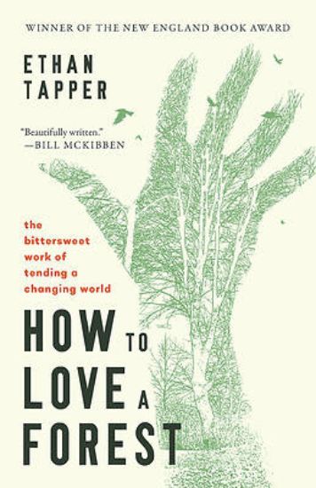 Picture of How to Love a Forest