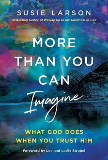Picture of More Than You Can Imagine