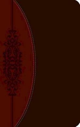 Picture of The CEB Wesley Study Bible, DecoTone
