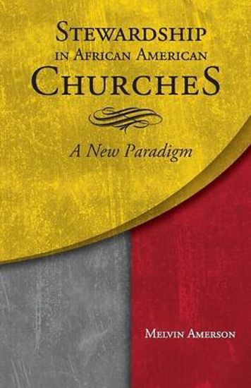 Picture of Stewardship in African-American Churches - eBook [ePub]