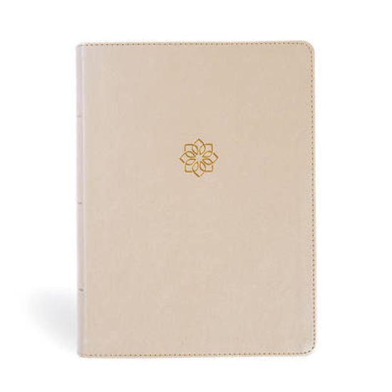 Picture of CSB Study Bible, Large Print, Digital Study Edition, Gold Leathertouch, Indexed