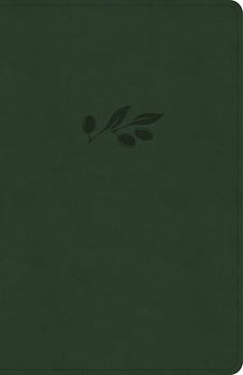 Picture of NASB Verse-By-Verse Reference Bible, Olive Leathertouch