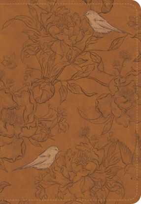 Picture of CSB Large Print Personal Size Reference Bible, Optimal Type, Digital Study Edition, Brown Leathertouch