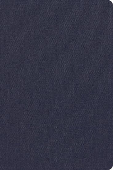Picture of CSB Men's Daily Bible, Blue Leathertouch