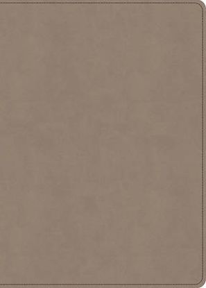 Picture of KJV Single-Column Wide-Margin Bible, Sand Leathertouch