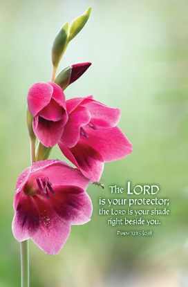 Picture of Word Alive! Weekly Bulletin without Message-Week 9, Letter Size (Package of 25)