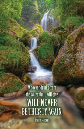 Picture of Word Alive! Weekly Bulletin without Message-Week 10, Letter Size (Package of 25)
