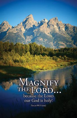 Picture of Word Alive! Weekly Bulletin without Message-Week 7, Letter Size (Package of 25)