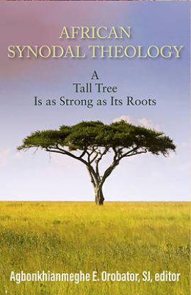 Picture of African Synodal Theology