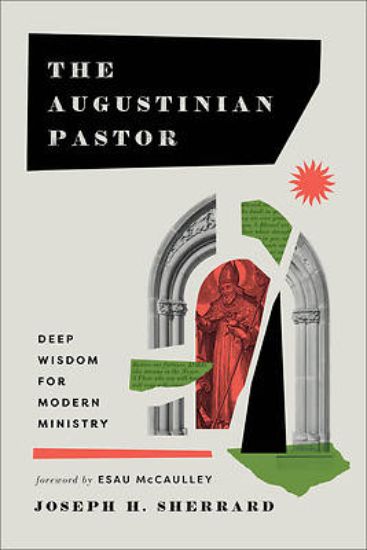 Picture of The Augustinian Pastor