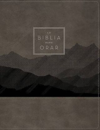 Picture of Rvr60, La Biblia Para Orar, Leathersoft, Gris, Palabras de Jesús En Rojo, Comfort Print