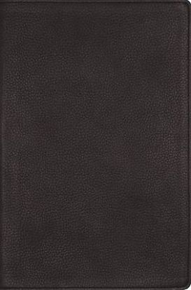 Picture of Nrsvue, Single-Column Reference Bible, Genuine Calfskin Leather, Black, Art Gilded Edges, Comfort Print
