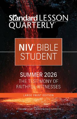Picture of Standard Lesson Quarterly NIV Adult Student Book Large Print Summer