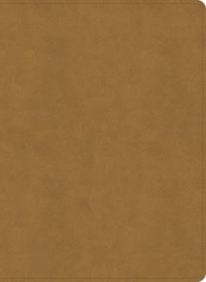 Picture of NASB Study Bible, Camel Suedesoft Leathertouch, Indexed
