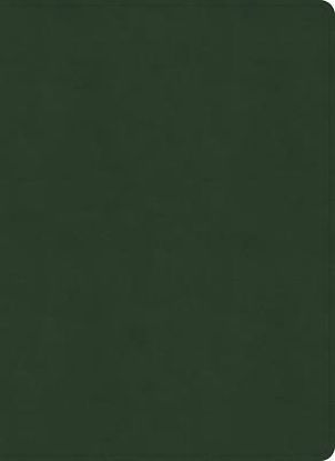 Picture of NASB Study Bible, Olive Leathertouch, Indexed
