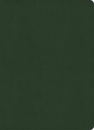 Picture of NASB Study Bible, Olive Leathertouch, Indexed