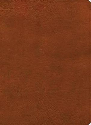 Picture of NASB Study Bible, Burnt Sienna Leathertouch, Indexed