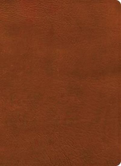 Picture of NASB Study Bible, Burnt Sienna Leathertouch, Indexed