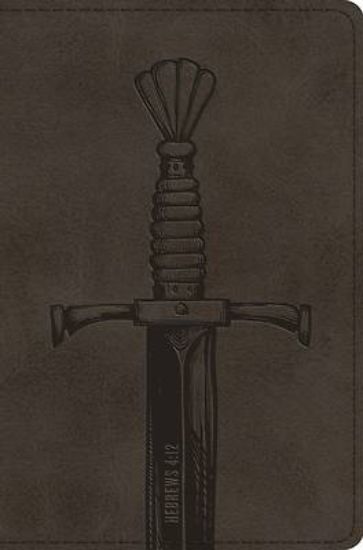 Picture of ESV Compact Bible (Trutone, Silver, Sword Design)