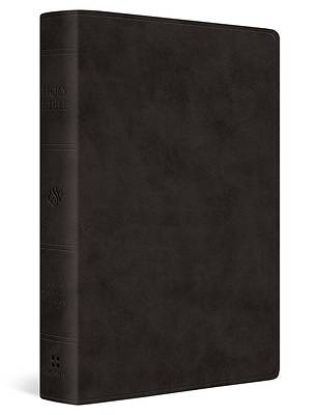 Picture of ESV Giant Print Value Thinline Bible (Trutone, Black)