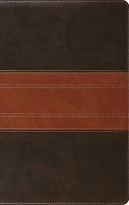 Picture of ESV Large Print Personal Size Bible, Red Letter, Indexed (Trutone, Forest/Tan, Trail Design)