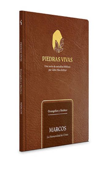 Picture of Piedras Vivas